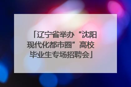 辽宁省举办“沈阳现代化都市圈”高校毕业生专场招聘会