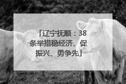 辽宁抚顺：38条举措稳经济、促振兴、勇争先