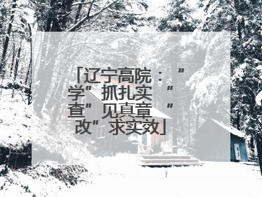 辽宁高院：“学”抓扎实 “查”见真章 “改”求实效