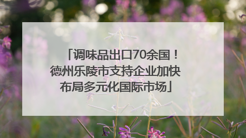 调味品出口70余国！德州乐陵市支持企业加快布局多元化国际市场