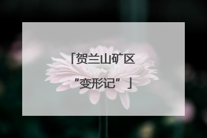 贺兰山矿区“变形记”