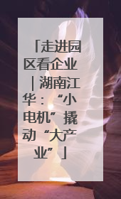 走进园区看企业｜湖南江华：“小电机”撬动“大产业”