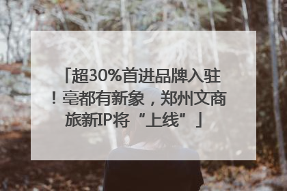 超30%首进品牌入驻！亳都有新象，郑州文商旅新IP将“上线”