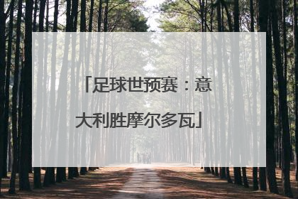 足球世预赛：意大利胜摩尔多瓦