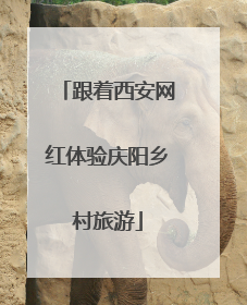 跟着西安网红体验庆阳乡村旅游