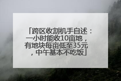 跨区收割机手自述：一小时能收10亩地，有地块每亩低至35元，中午基本不吃饭