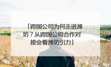 跨国公司为何走进潍坊？从跨国公司合作对接会看潍坊引力