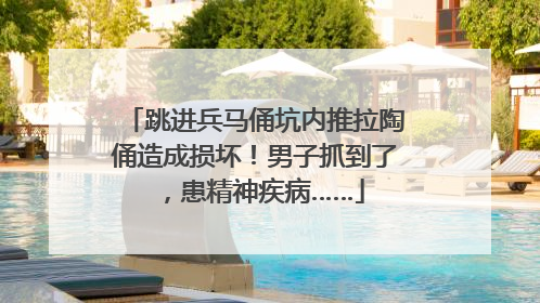 跳进兵马俑坑内推拉陶俑造成损坏！男子抓到了，患精神疾病……