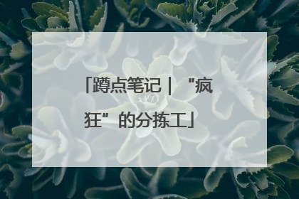 蹲点笔记｜“疯狂”的分拣工