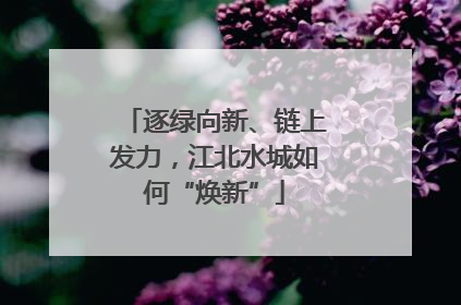 逐绿向新、链上发力，江北水城如何“焕新”