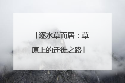 逐水草而居：草原上的迁徙之路