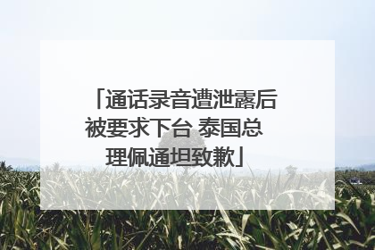 通话录音遭泄露后被要求下台 泰国总理佩通坦致歉