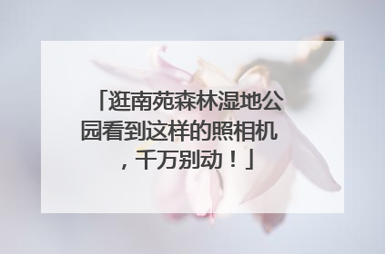 逛南苑森林湿地公园看到这样的照相机，千万别动！