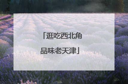 逛吃西北角 品味老天津