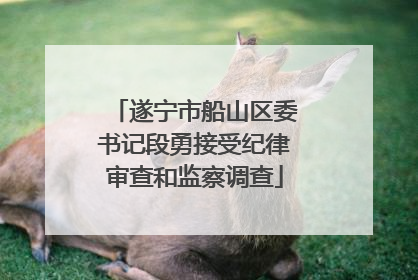 遂宁市船山区委书记段勇接受纪律审查和监察调查