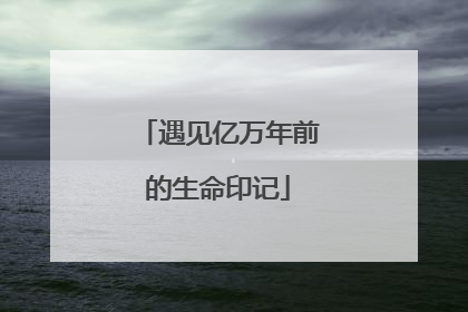 遇见亿万年前的生命印记