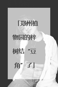 郑州植物园的梓树结“豆角”了