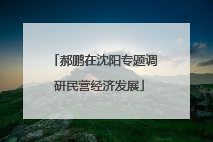 郝鹏在沈阳专题调研民营经济发展