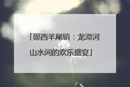 郧西羊尾镇：龙潭河山水间的欢乐盛宴