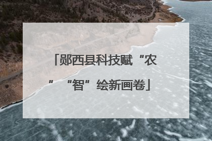 郧西县科技赋“农”“智”绘新画卷