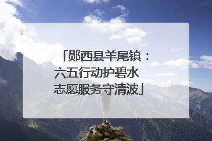 郧西县羊尾镇：六五行动护碧水 志愿服务守清波