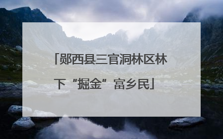 郧西县三官洞林区林下“掘金”富乡民