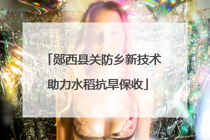 郧西县关防乡新技术助力水稻抗旱保收