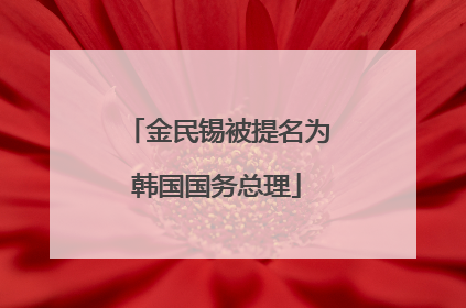金民锡被提名为韩国国务总理