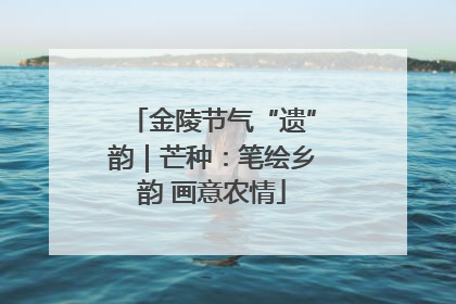 金陵节气“遗”韵｜芒种：笔绘乡韵 画意农情