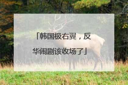 韩国极右翼，反华闹剧该收场了