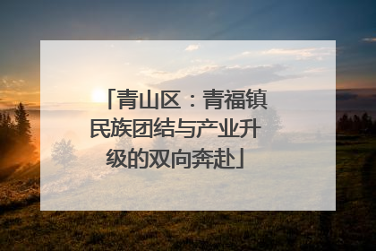 青山区：青福镇民族团结与产业升级的双向奔赴
