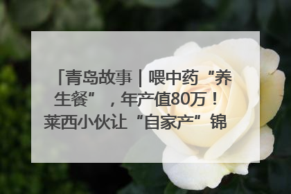 青岛故事｜喂中药“养生餐”，年产值80万！莱西小伙让“自家产”锦鲤“游”向全国