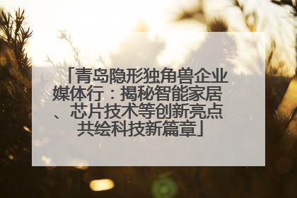 青岛隐形独角兽企业媒体行：揭秘智能家居、芯片技术等创新亮点 共绘科技新篇章