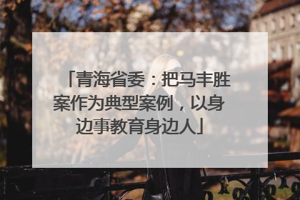 青海省委：把马丰胜案作为典型案例，以身边事教育身边人