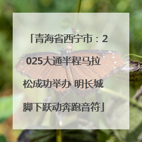 青海省西宁市：2025大通半程马拉松成功举办 明长城脚下跃动奔跑音符