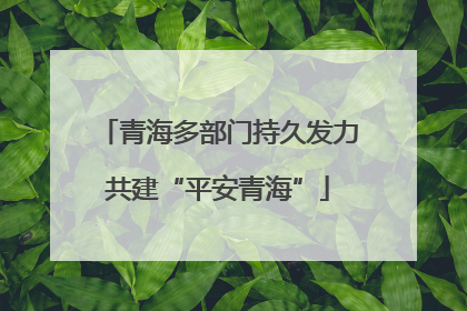 青海多部门持久发力共建“平安青海”