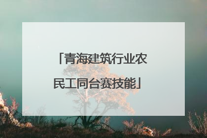青海建筑行业农民工同台赛技能