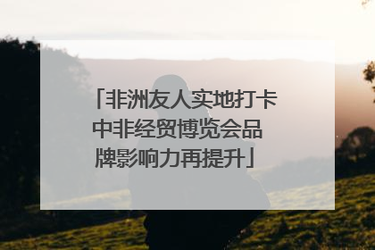 非洲友人实地打卡 中非经贸博览会品牌影响力再提升