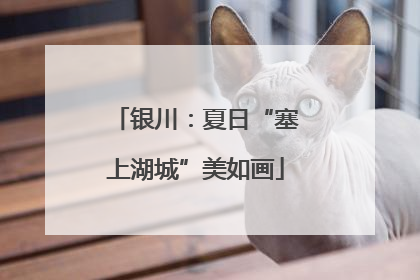 银川：夏日“塞上湖城”美如画