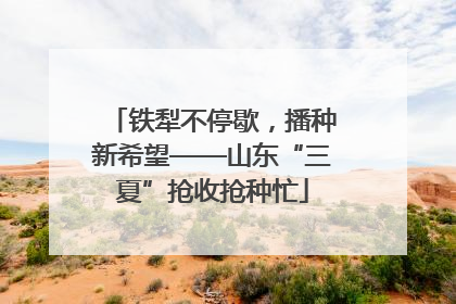 铁犁不停歇，播种新希望——山东“三夏”抢收抢种忙