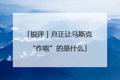 锐评｜真正让马斯克“作呕”的是什么