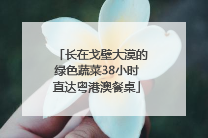长在戈壁大漠的绿色蔬菜38小时直达粤港澳餐桌