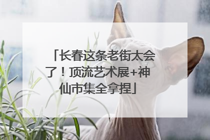 长春这条老街太会了！顶流艺术展+神仙市集全拿捏