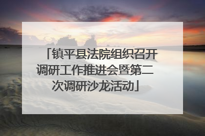 镇平县法院组织召开调研工作推进会暨第二次调研沙龙活动