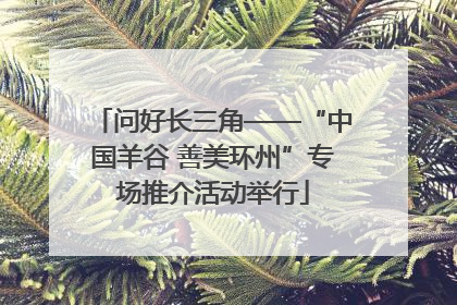 问好长三角——“中国羊谷 善美环州”专场推介活动举行