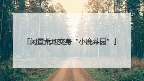 闲置荒地变身“小鹿菜园”