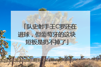 队史射手王C罗还在进球，但葡萄牙的这块短板是扔不掉了