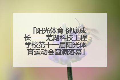 阳光体育 健康成长——芜湖科技工程学校第十一届阳光体育运动会圆满落幕
