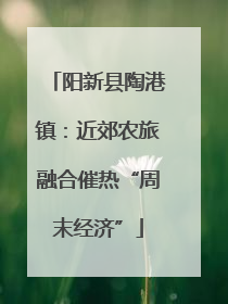阳新县陶港镇：近郊农旅融合催热“周末经济”
