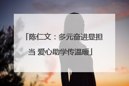 陈仁文：多元奋进显担当 爱心助学传温暖